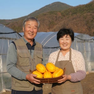 성주 참외 산지직송 고당도 제철과일 선물용 로얄중과, 10kg, 1개