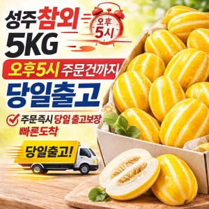 성주참외 5kg, 10개