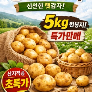 수미감자 햇감자 강원도 5kg 포슬포슬 국내산 신선한 중 사이즈