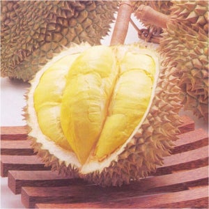냉동 두리안 과육 900g 450g 2팩 4팩 수입 열대과일
