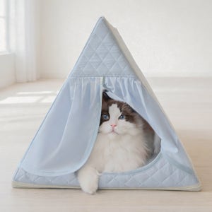 초코펫하우스 고양이집 숨숨집 스크래쳐 파스텔 쏙쏙 하우스