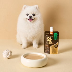 펫쿠르트 건강하개 프로젝트 왈 오리지널, 100ml, 10개