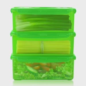 옆집의 미라클 프레시존 대파 보관용기 4000ml 2개 파스타 과일 야채