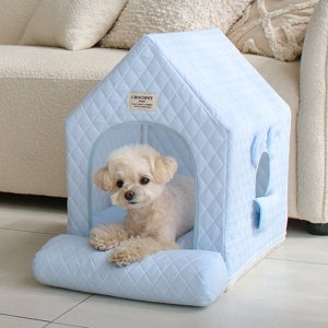 초코펫하우스 사계절 강아지집 에브리데이하우스 3.0 소형