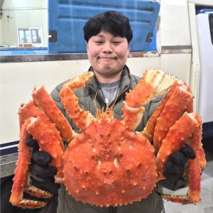 레드 블루 킹크랩 70-80% 수율