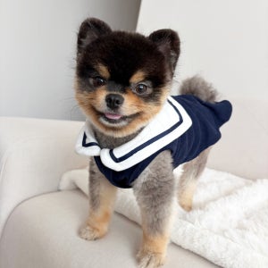 강아지 조끼 애견 티셔츠 마린 빅카라 실내복 포메라니안 가을옷 반려견