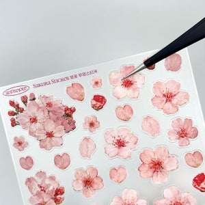 벚꽃 씰스티커 투명무광후백다꾸 2매