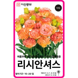 리시안셔스 씨앗 오브 칵테일 / 10립 F1교배종 리시안셔스 꽃씨 꽃씨몰 봄꽃 종자