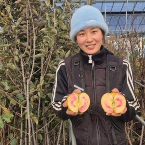 문루즈 사과나무묘목 R3분묘 속빨간후지사과나무 이중접