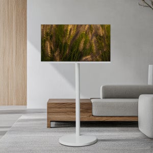 프레미디 스탠무빙 P0 클래식 삼텐바이미 81cm(32인치) HD tv 중소바이미 이동형티비 삼탠바이미