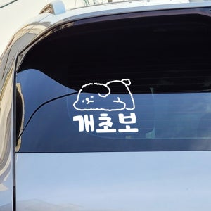 왕초보운전 개초보 배려 감사 명조 양보운전 안전운전 차량용 스티커