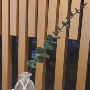 유칼립투스조화 B 조화식물 인조식물