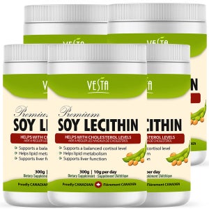 베스타 100% 캐나다산 NON-GMO 대두 레시틴 분말 과립형 300g, 5개