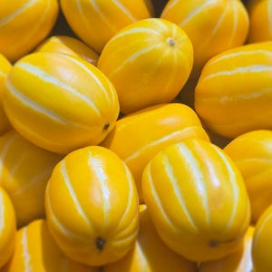 과일일과 성주 참외 꿀당도 가정용 프리미엄 선물용 고당도 1kg 3kg 5kg