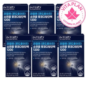 소연골 콘드로이친 1200 뮤코다당단백 관절엔 콘도로친 저분자 콜라겐 60정, 6개