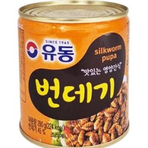 유동 번데기 술안주 간식용 통조림 280g, 12개