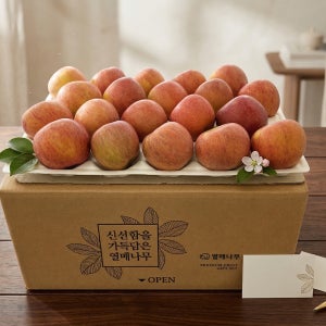 [거창한사과] 거창 못난이 사과 10kg - 산지직송