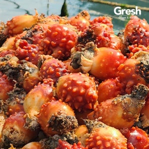 국내산 통영 활멍게 3kg 알멍게 깐멍게 500g