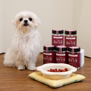 [임박특가] 해운대암소갈비집 한우트