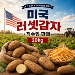 미국산 러셋감자 20kg 10kg 감자튀김용 왕특 왕왕 생감자 업소용 스퍼드맨