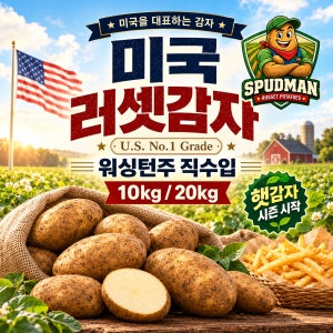 미국산 러셋감자 20kg 10kg 감자튀김용 왕특 왕왕 생감자 업소용 스퍼드맨