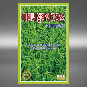 KS 페레니얼그라스 15g 발아속도 잔디조성 혼파 덧뿌리기용 한지형 잔디 씨앗 씨 종자