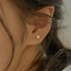 더블유비엘 14k post 클로버 블리스 스터드 귀걸이