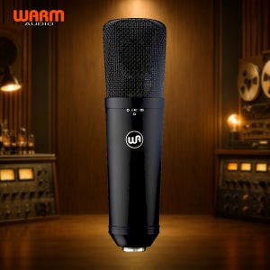 Warm Audio WA-87 R2 Black 웜 오디오 콘덴서 마이크 wa87