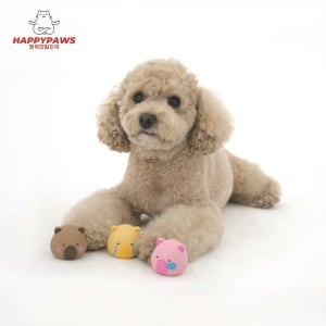 안심 무독성 라텍스 강아지 장난감 패리스독 카피바라 삑삑이 애견 캐릭터 토이