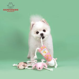 패리스독 강아지 노즈워크 장난감 바스락 슈퍼스낵 놀이 애견 인형 간식찾