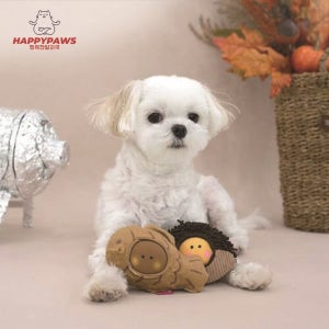 패리스독 강아지 장난감 무독성 소리나는 콤보 라텍스 간식놀이 토이 애견 삑삑이