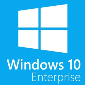 [마이크로소프트] Windows 10 IoT 2024 LTSC Enterprise Entry