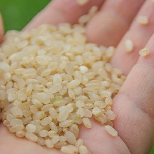 25년 햅쌀 산청 유기농 오분도미 고급품종 추청 10kg, 1개