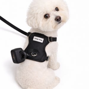 [파라쥬]강아지하네스 리드줄세트 배변케이스포함소형견산책용 올인원 외출세트 L