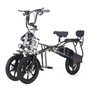 3인용 삼륜 전기자전거 접이식 2인용 48V 80KM 48V 350W 60-80KM