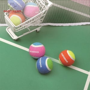 패리스독 강아지 장난감 무독성 소리나는 테니스볼 토이 세트 애견 삑삑이 공