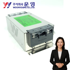 WOONYOUNG 보급형 노이즈 필터 WYNFS40T2A 250V 40A