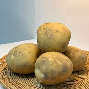 [품질보장] 26년 햇감자 두백감자 분감자 특품 5kg, 1개