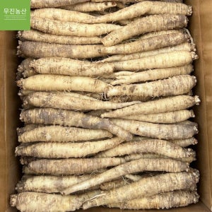 2026 햇더덕 중국산 수입 더덕 세척 생더덕 정품 식자재 중, 10kg, 1개