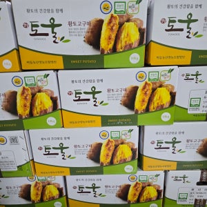영암 토울고구마 버들농산 세척 고구마 베니하루카 고당도 상, 10kg, 1개