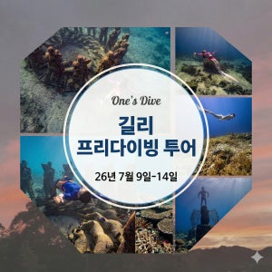 2026년 7월 길리 프리다이빙 4박6일 투어