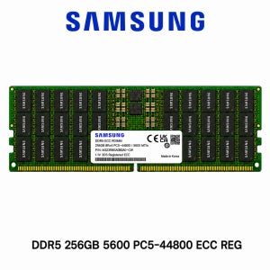 삼성전자 서버용 메모리 DDR5 256GB 5600 PC5 44800 ECC REG