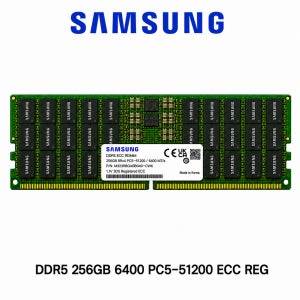 삼성전자 서버용 메모리 DDR5 256GB 6400 PC5 51200 ECC REG