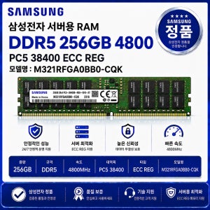삼성 DDR5 서버용 ECC REG 256GB 4800 PC5 38400