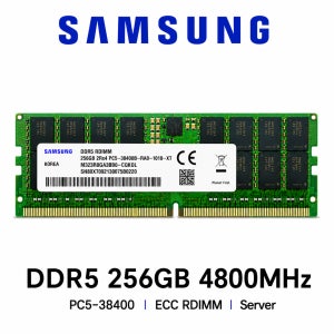 삼성전자 서버용 메모리 DDR5 256GB 4800 PC5 38400 ECC REG