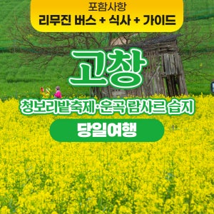 [당일] 4월 5월 고창 청보리밭 축제 운곡 람사르 습지 트레킹 당일치기 여행 서울출발 버스 투어 패키지