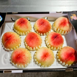 열매맺는농원 복숭아 산지직송 백도 황도 딱딱이 충주