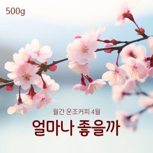 운조커피 월간커피 4월 얼마나 좋을까 500g 원두커피
