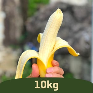 국산 산청 클로렐라 유기농 올 바나나 (매주 화요일 발송) 10kg, 1개