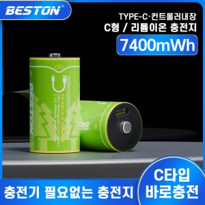 베스트온 C형 충전지 USB-C타입 2개입 듀얼 충전케이블 세트 충전식 건전지 리튬이온 배터리